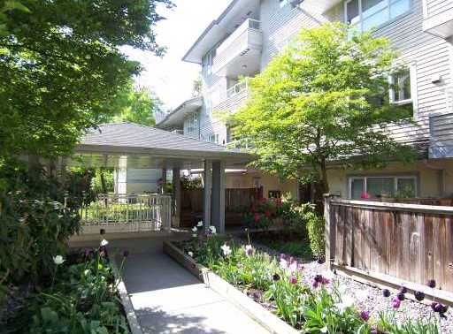 Cottonwood Grove photo 2