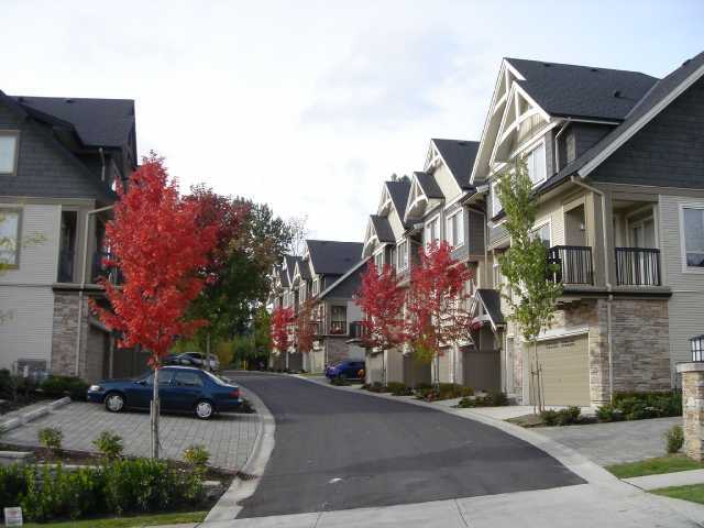 Whitetail Lane