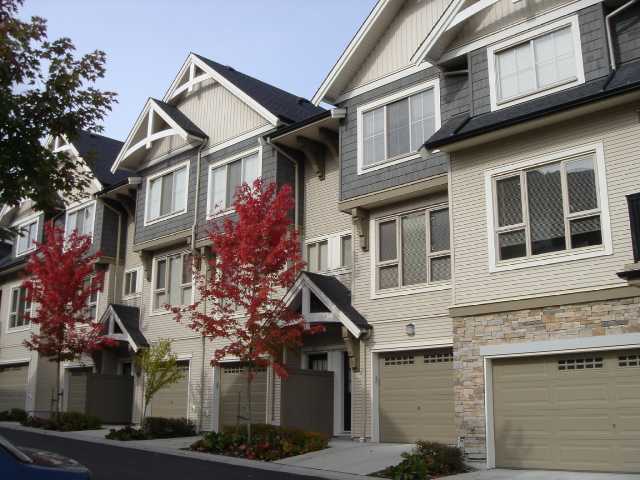 Whitetail Lane photo 3