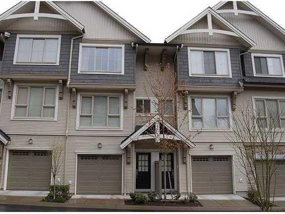 Whitetail Lane photo 2