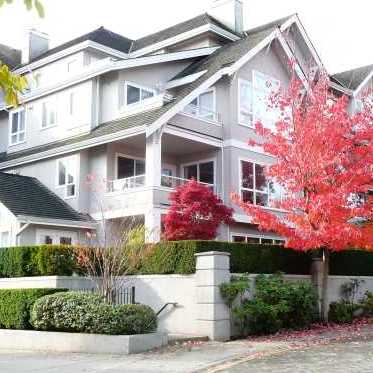 Photo 2 The Shaughnessy photo 2