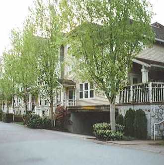 The Pillars photo 5