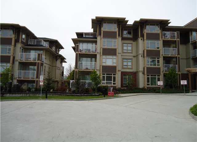 Photo 6 Cadence photo 6