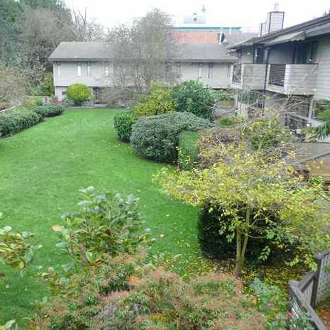 Tsawwassen Mews photo 4