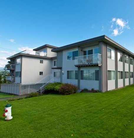 Photo 4 Harbour View Terrace Ltd photo 4