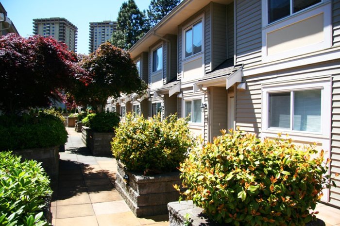 Halley Lane photo 3