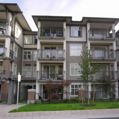 The Harris