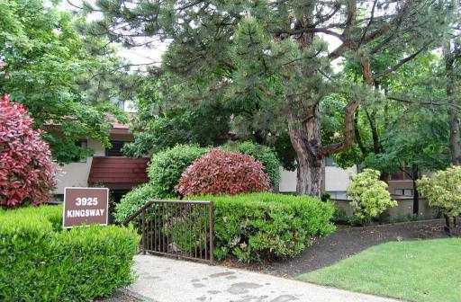 Cameray Gardens photo 2