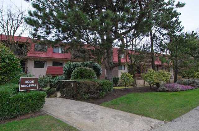 Cameray Gardens photo 5