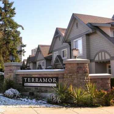 Photo 3 Terramor photo 3