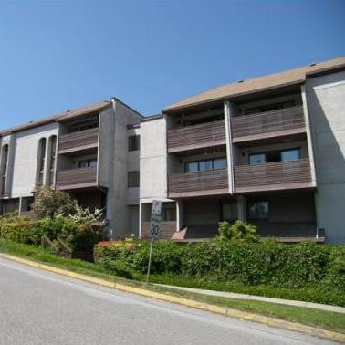 Fraser Mews