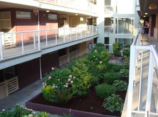King's Court photo 4