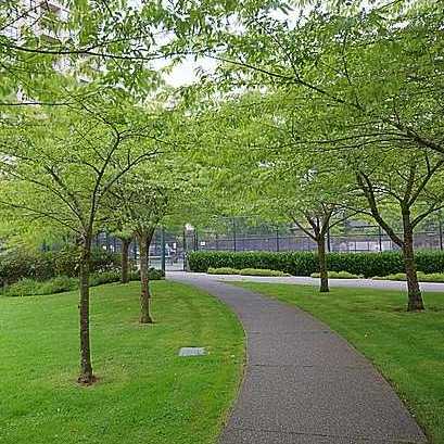 Emerald Court photo 8