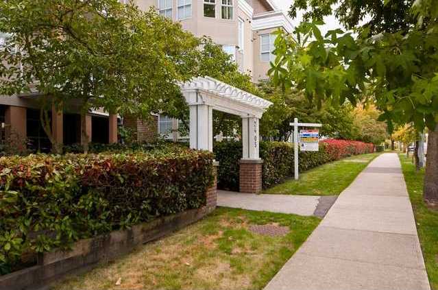 8th Avenue Garden Apartments photo 4