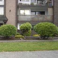 Alpine Place photo 4