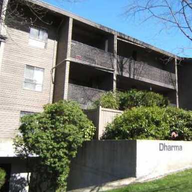 Dharma Digs photo 3