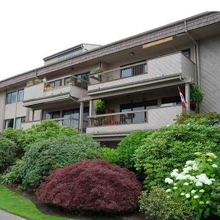 Harbour Shores photo 4