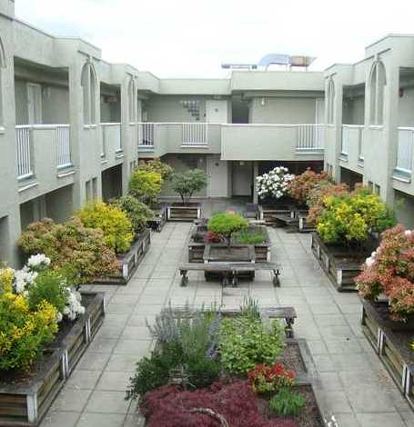 Photo 2 Camfray Gardens photo 2
