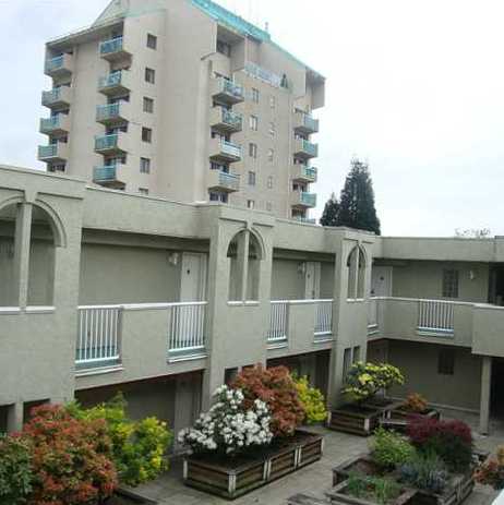 Photo 3 Camfray Gardens photo 3