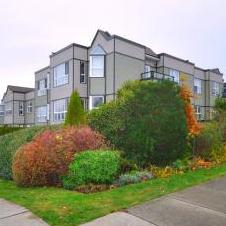 St. George Place photo 3
