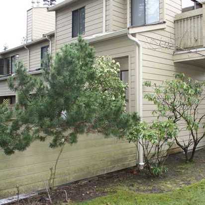 Arlington Place photo 2