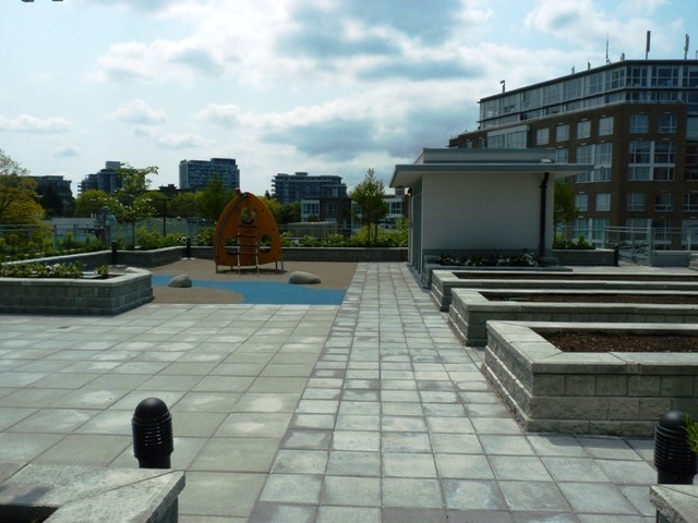 Social photo 4