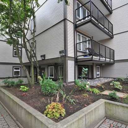 Mariner Mews photo 4