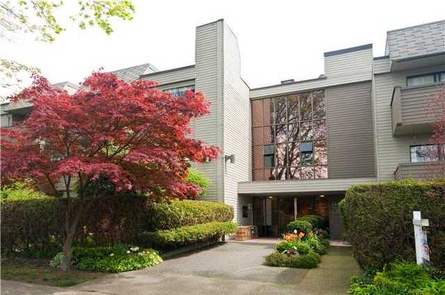 Walnut Place photo 2