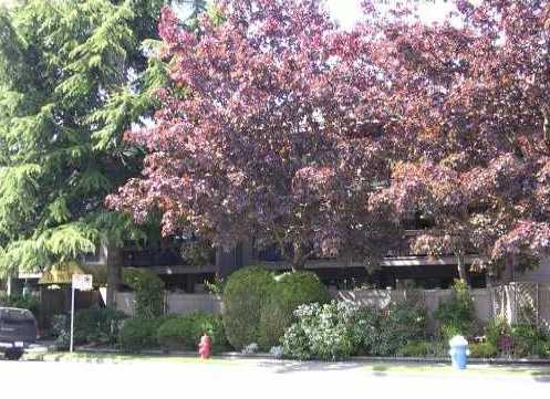 Cypress West photo 6
