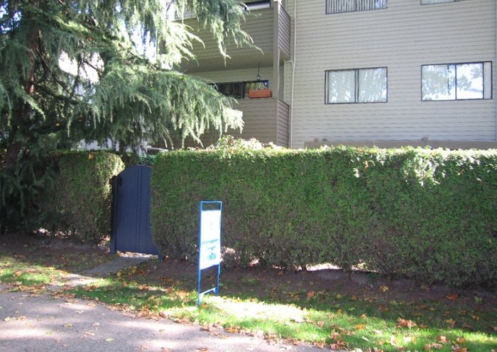 Photo 7 Walnut Place photo 7
