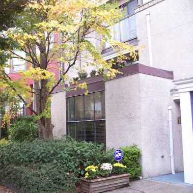 Acacia Mews photo 2