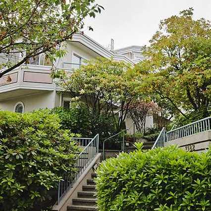 San Franciscan photo 5