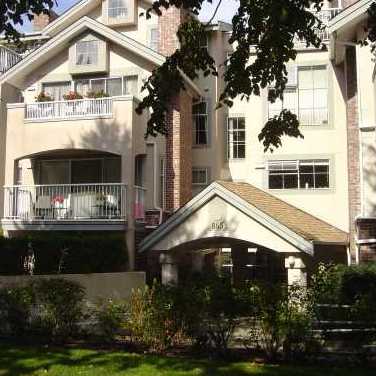 Tiffany Oaks