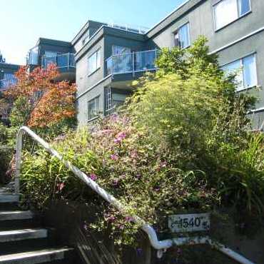 Mariner's Walk photo 3