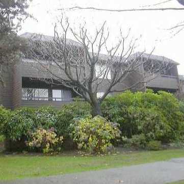 Photo 3 Twelve Pines photo 3