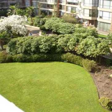 Harbour Cove photo 3