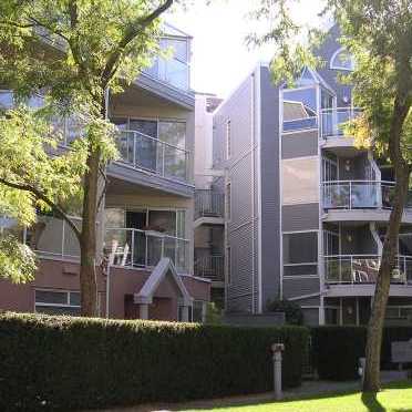 Augustine Gardens photo 3