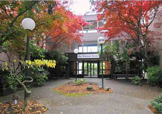 Blue Mountain Terrace
