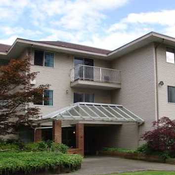 Pine Court