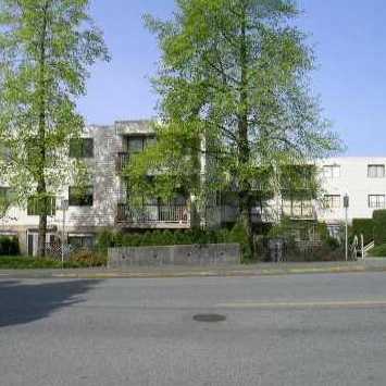 Balmoral Terrace photo 4