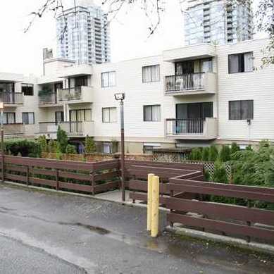 Balmoral Terrace photo 5