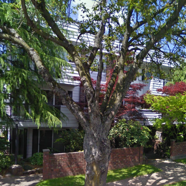 Heather Court photo 5