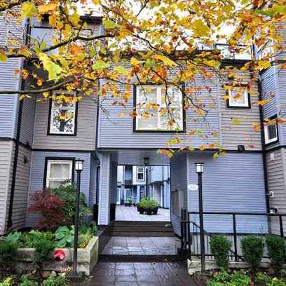 Laurel Mews photo 2