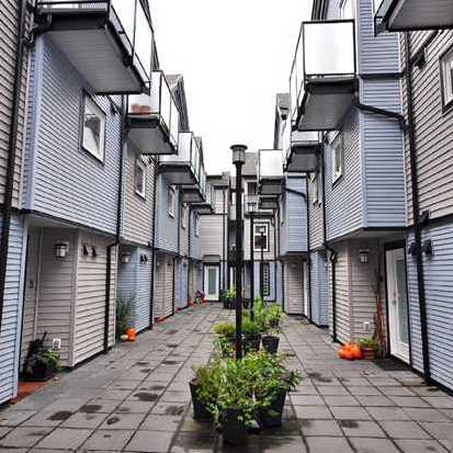 Laurel Mews photo 3