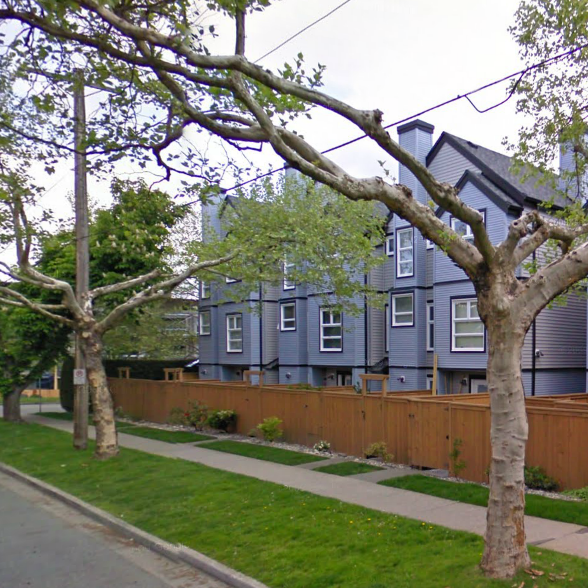 Laurel Mews photo 5