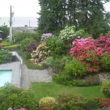 Seaview Gardens photo 6