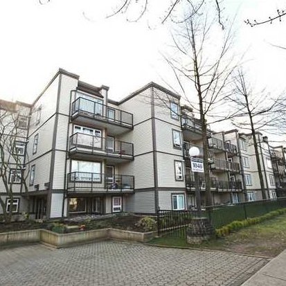 Mariner Mews photo 10