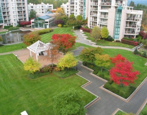The Mackenzie photo 4