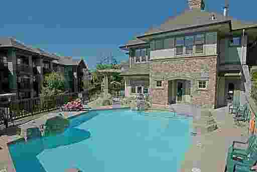 Photo 8 Tamarisk photo 8