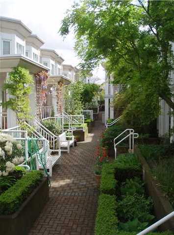 Trafalgar Mews photo 6